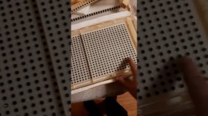 Распаковка системы для сбора маточного молочка и вывода маток.