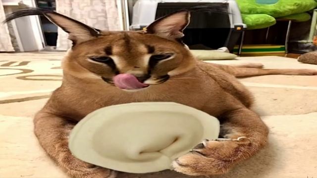 Пельмени хорошие пельмени это очень вкусно на самом деле рецепт простой - много мяса мало теста
