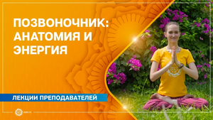 Позвоночник - центральная ось физического и энергетического тела