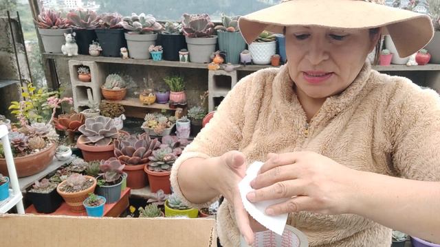 Preparando las sucus de intercambio, ¿llegaron? 😱🤩 смотреть онлайн