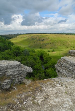 Воргольские скалы Липецкая область