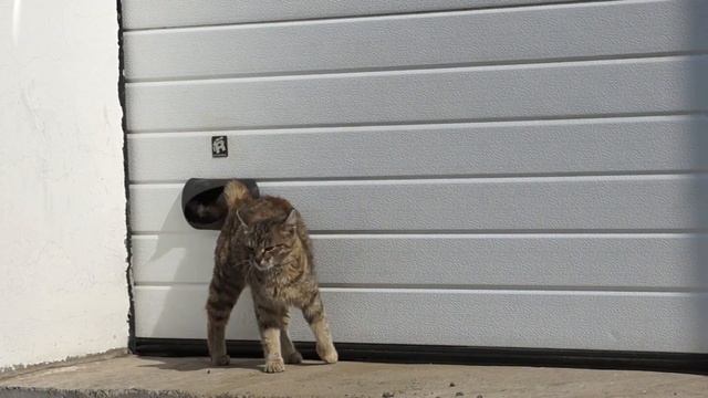 Какие гаражные ворота выбрать? смотреть онлайн