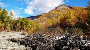 Каменное масло образуется высоко в горах