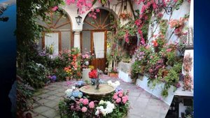 Патио -  самый красочный фестиваль Испании!