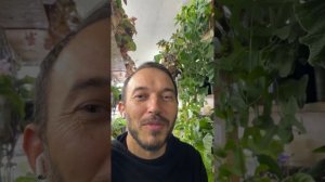Полив стрептокарпусов