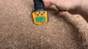 Влагомер зерна Smart Sensor AR991