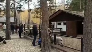 В некотором царстве