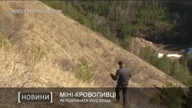 Як розпізнати укус кліща смотреть онлайн