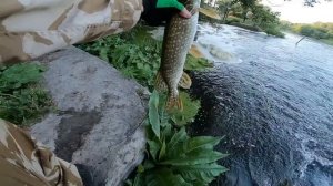 Каким должен быть правильный тейлспиннер