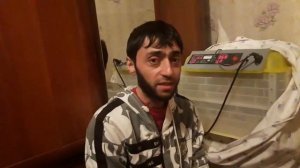 Ошибки вывода в китайском Инкубаторе