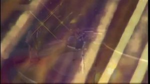 Bond - Allegretto 2003.mp4