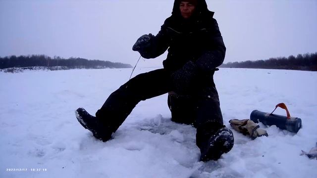 Крупная плотва. Рыбалка на безмотылку Река Ока