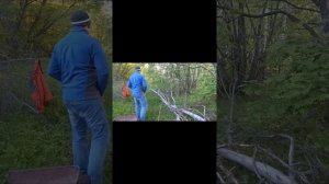 Цепь Champion/55/3.8/1.3 для бензопилы STIHL MS 250 16" и STIHL MS 180 16"