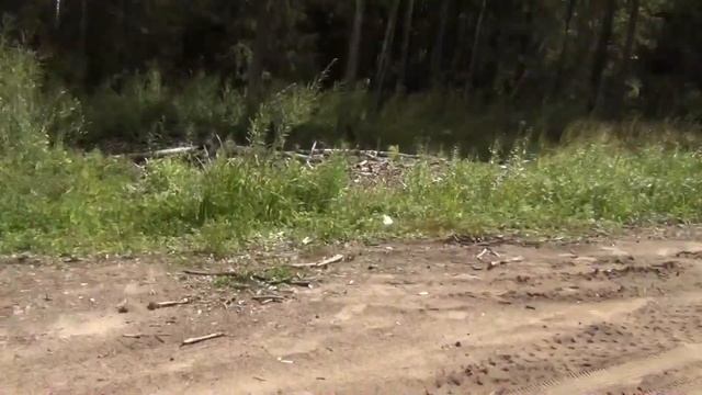 Шарья - Киров, тур база Ветлуга | Ночью подходил медведь... или лось... или кабан...