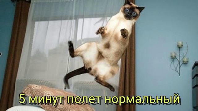 А ты сегодня улыбался? смотреть онлайн