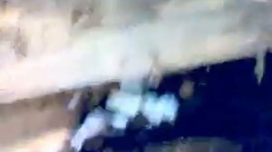 Как сделать сухой погреб на высокой воде ч 2  Крыша