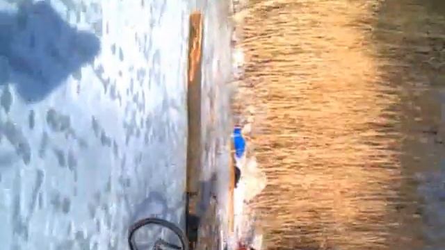 Зима )))Друг на льду))) смотреть онлайн