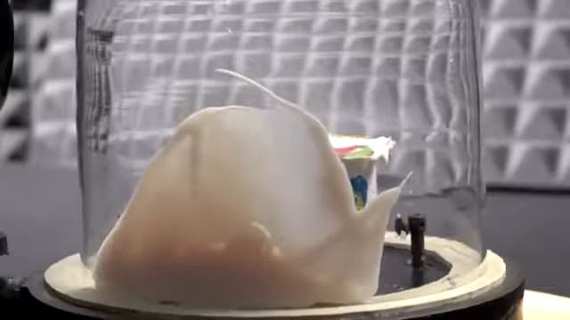 ЧТО ЕСЛИ ЖИДКИЙ АЗОТ ПОМЕСТИТЬ В ВАКУУМ смотреть онлайн