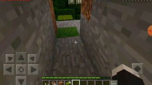 Коты воители в майнкрафте *1 серия*