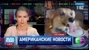 CSBSVNNQ Американские новости — выпуск #1162 от 16.12.2023
