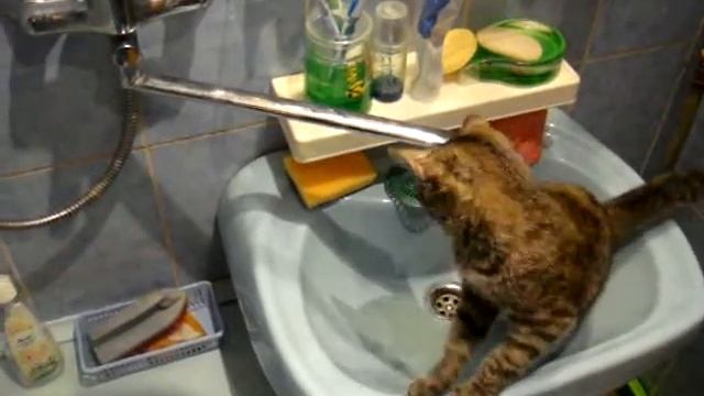 Водные процедуры.MPG смотреть онлайн