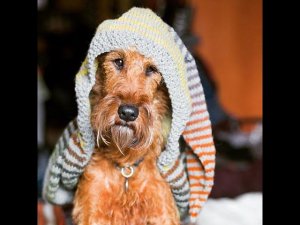 Вяжем с WickedLynx. Мои заметки о "Гномьей робе"