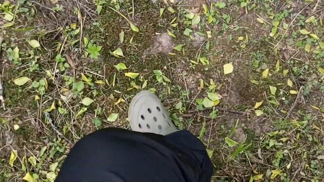 Обзор-пример копки целинной-ранее не вскапываемой земли,  электро-культиватором  " Зубр-ккд 900 "