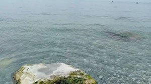 Прогулка по дикому пляжу в районе Лоо. Штиль на море. Дошли до отеля "Лучезарный"