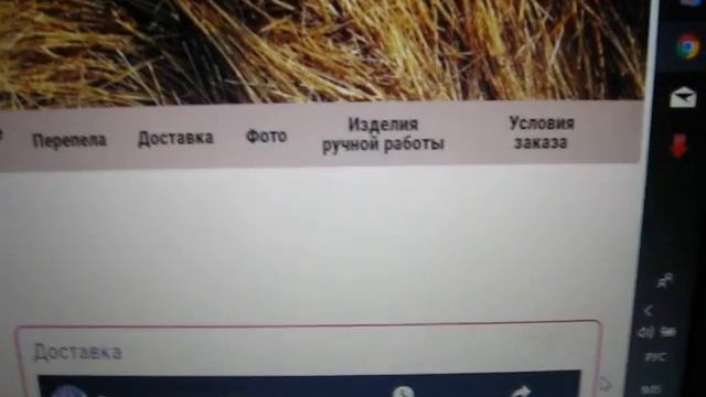 наш сайт"Советы для начинающих птицеводов"