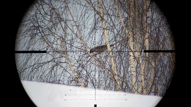 Crow hunting-Кроухантинг! смотреть онлайн