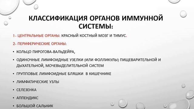 ИММУНИТЕТ, ЕГО ВИДЫ. КЛАССИФИКАЦИЯ ОРГАНОВ ИММУННОЙ СИСТЕМЫ