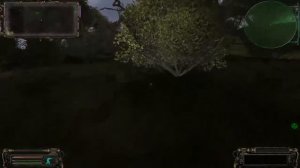 ОП-2.1 найти необычный артефакт в забытом лесу