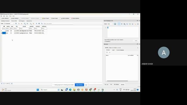 Advance Python Class 16 : Database Programming with Python