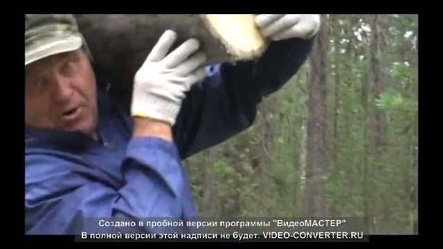 Сплав по р.Умба (Автор: Надежда Маркова)