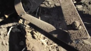 Закапывание рядов картошки мотоблоком с клином. 1