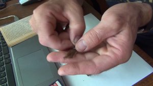 Хитрая снасть на линя! (теория)