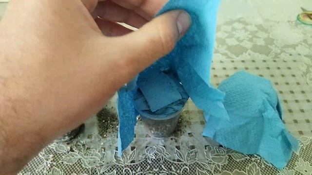 Обзор посылки с кактусами - Новые кактусы для коллекции смотреть онлайн