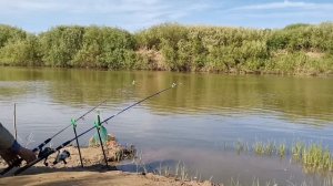 Рыбалка на донку - Как поймать Судака и Язя