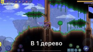 Сиды на звериные когти, посох зяблика и статуя слизня в Terraria 1.4.3.2.3 на телефоне. Я ВЕРНУЛСЯ!