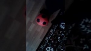 как надуть мяч дома