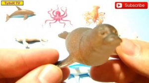 Развивающее видео морские обитатели для детей со звуками | морские животные - акула, кит, дельфин