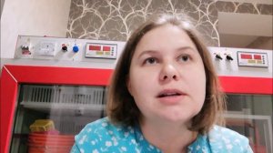 Инкубатор Мультилайф. Плюсы и минусы спустя год использования