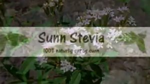 Bivirkninger Stevia