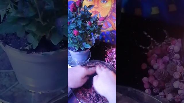 ДЫМОВАЯ СВЕЧА КОРИЦА ОКУРИВАНИЕ ПРОСТРАНСТВА ОЧИЩЕНИЕ