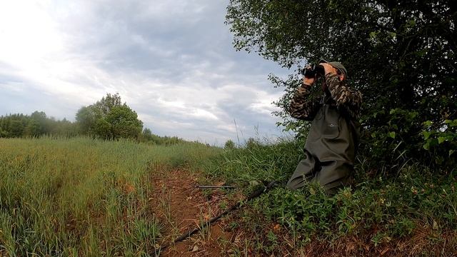 ОХОТА НА КОСУЛЮ ЧАСТЬ 5 Буду искать Трофей Самца Косули смотреть онлайн