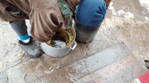 Как подготовить ивовые прутья к работе .Всего 5л. воды //