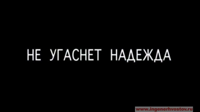 Надежда умирает последней картинки прикольные