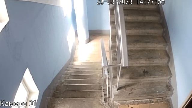 Камера FX-C2P в режиме CVBS аналог.