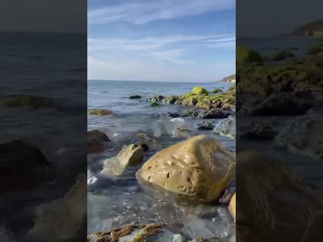 Дикий пляж Лоо. #лоо #сочи #дикийпляж #море смотреть онлайн