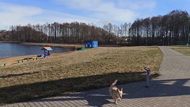 Прогулка по городу Щучин...у озера./2.